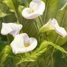 Схема вышивки «№1738306»