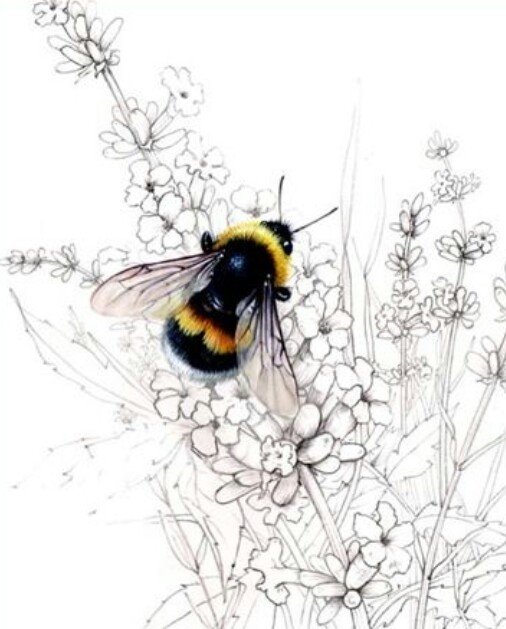 №1738308 - оригинал