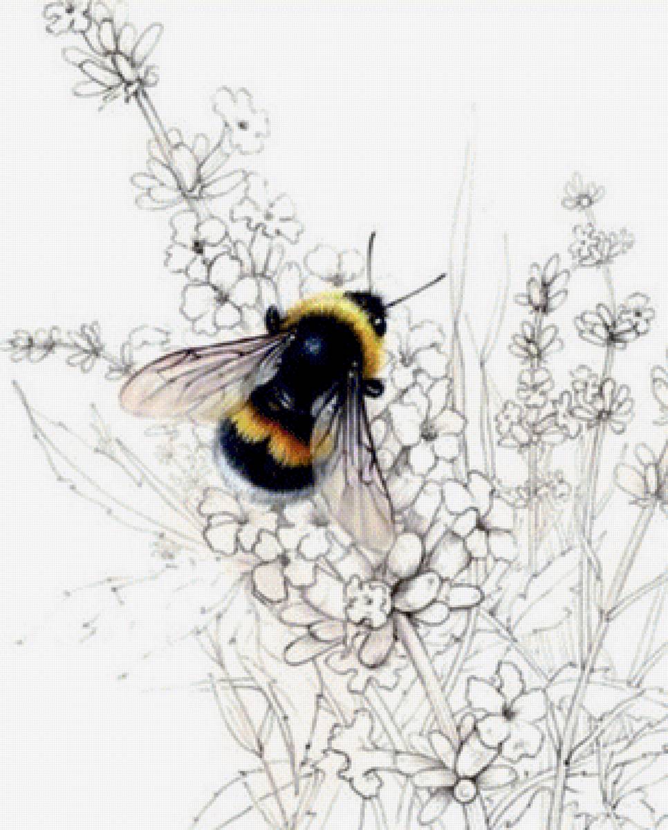 №1738308 - предпросмотр