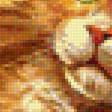 Предпросмотр схемы вышивки «кот» (№1738697)