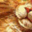 Предпросмотр схемы вышивки «кот» (№1738845)