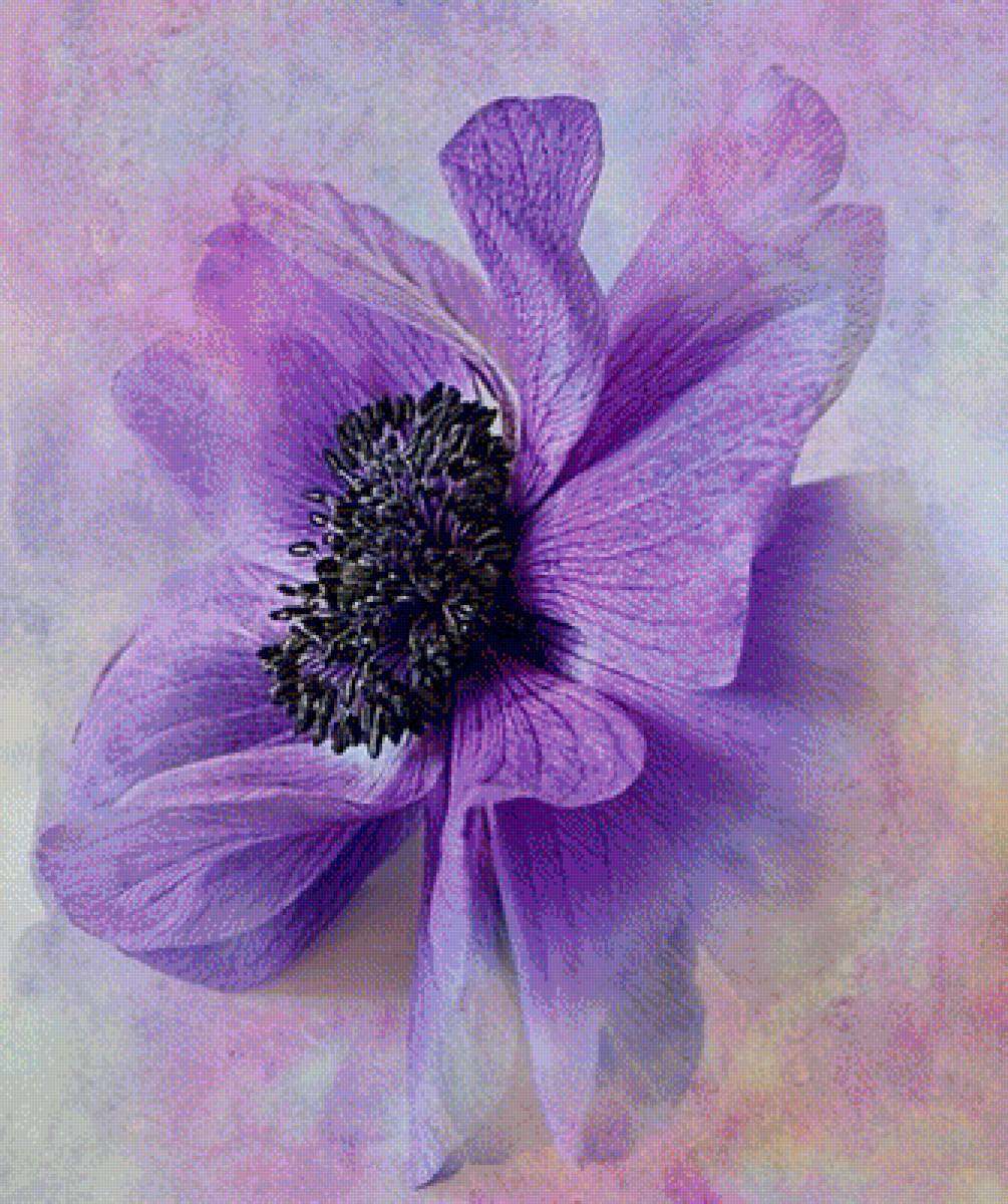 №1739057 - предпросмотр