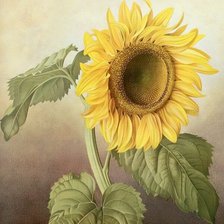 Схема вышивки «№1739139»