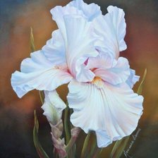 Схема вышивки «№1739153»