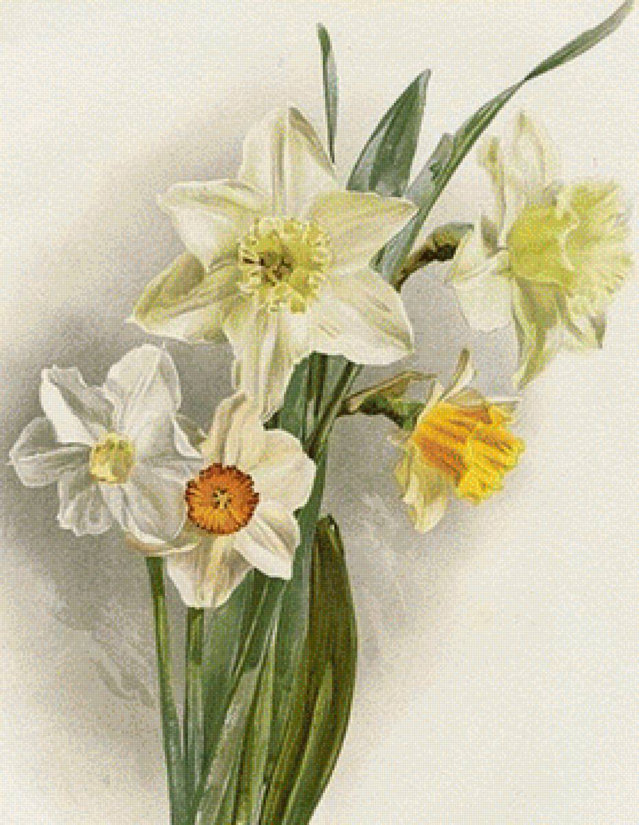 №1739157 - предпросмотр