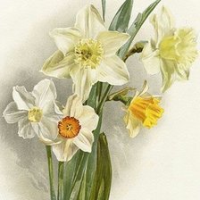 Схема вышивки «№1739157»