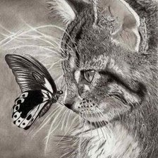 Схема вышивки «Кошечка»