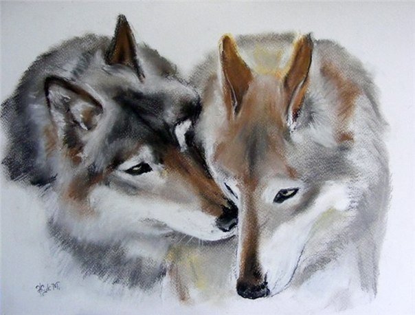 Любовь - любовь, пара, волк - оригинал