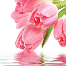 Схема вышивки «тюльпаны»