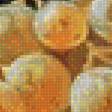 Предпросмотр схемы вышивки «натюрморт» (№1740299)