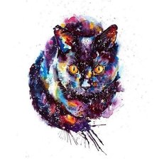 Схема вышивки «космический кот»