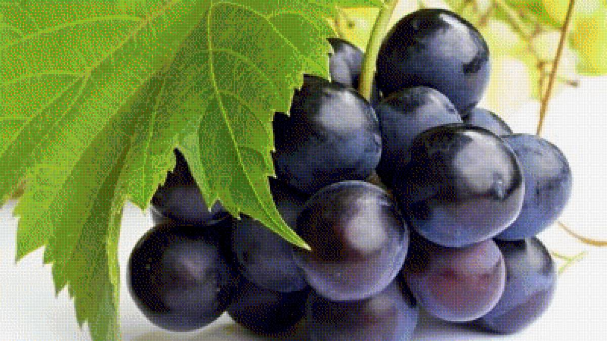 виноград - предпросмотр