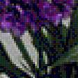 Предпросмотр схемы вышивки «букет» (№1740750)