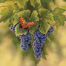 Схема вышивки «виноград»