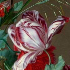 Схема вышивки «№1740784»