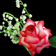 Схема вышивки «розы»