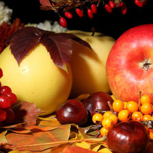 Схема вышивки «натюрморт»