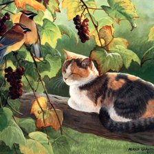 Схема вышивки «кот»