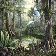 Схема вышивки «птицы»