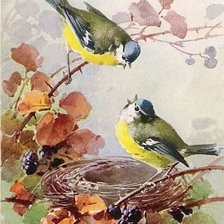 Схема вышивки «птицы»