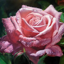 Схема вышивки «розы»