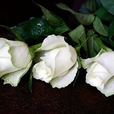 Схема вышивки «розы»