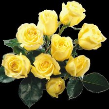 Схема вышивки «розы»