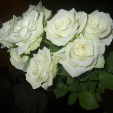 Схема вышивки «розы»