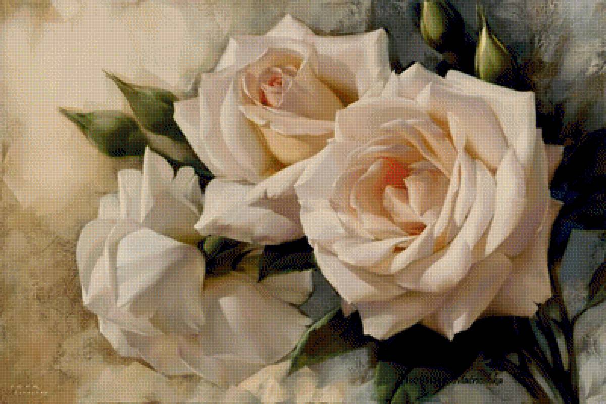 розы - предпросмотр