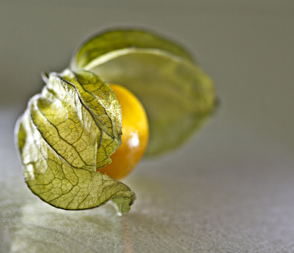 ФИЗАЛИС - физалис - оригинал