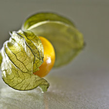 Схема вышивки «ФИЗАЛИС»