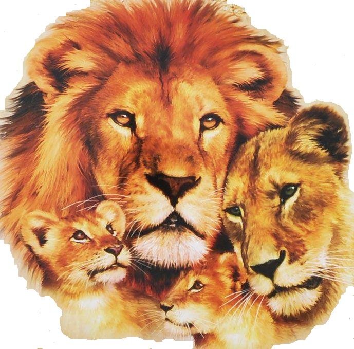 Львиная семья - оригинал