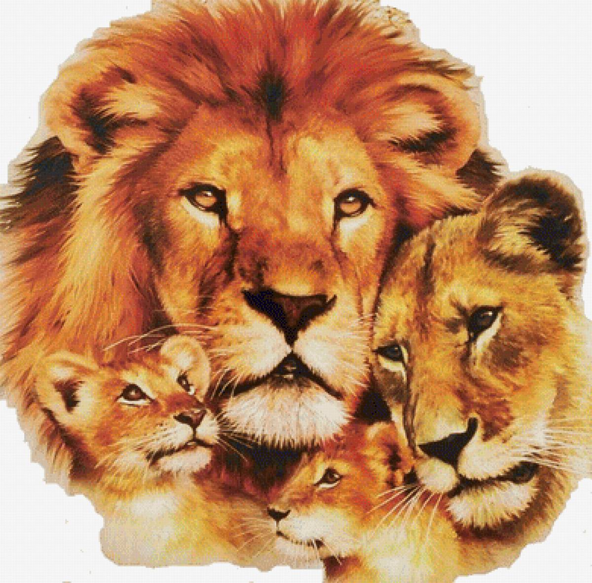 Львиная семья - предпросмотр
