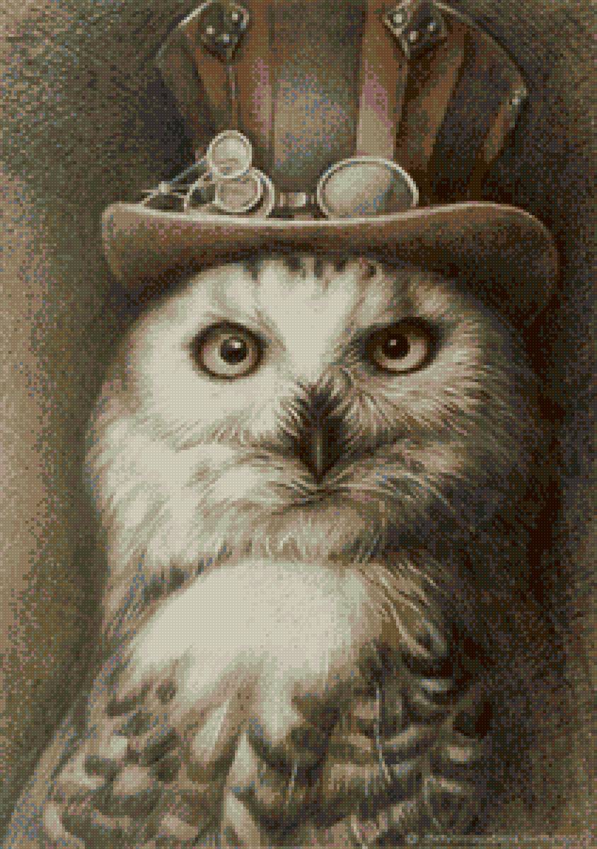 Сова в шляпе - стимпанк, сова - предпросмотр