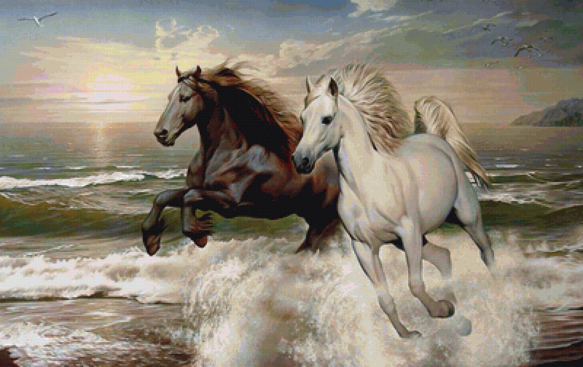 Лошади - лошади, животные, природа - предпросмотр