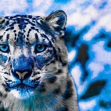 Схема вышивки «tiger»