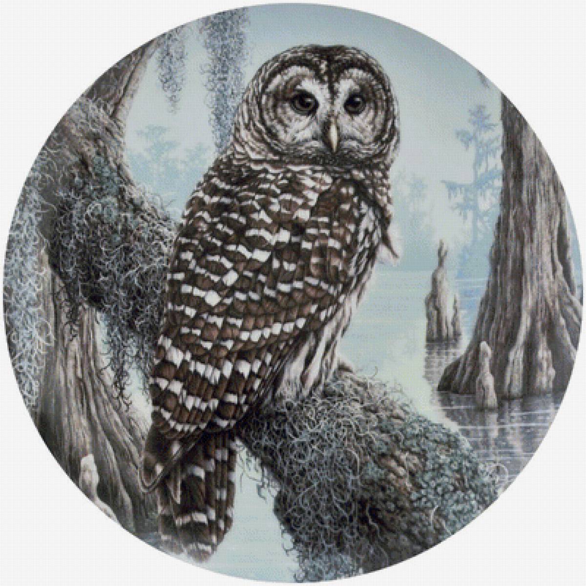 Филин - на дереве, птицы - предпросмотр