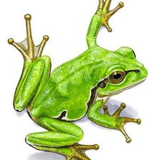 Схема вышивки «№1743190»