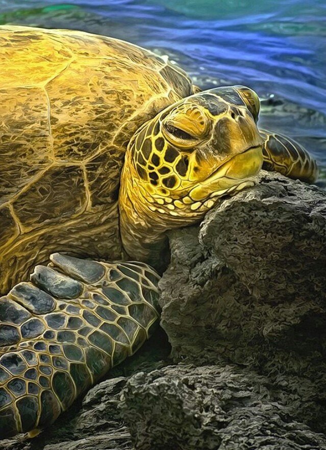 №1743196 - оригинал