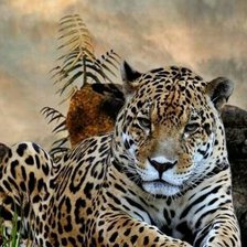 Схема вышивки «№1743203»