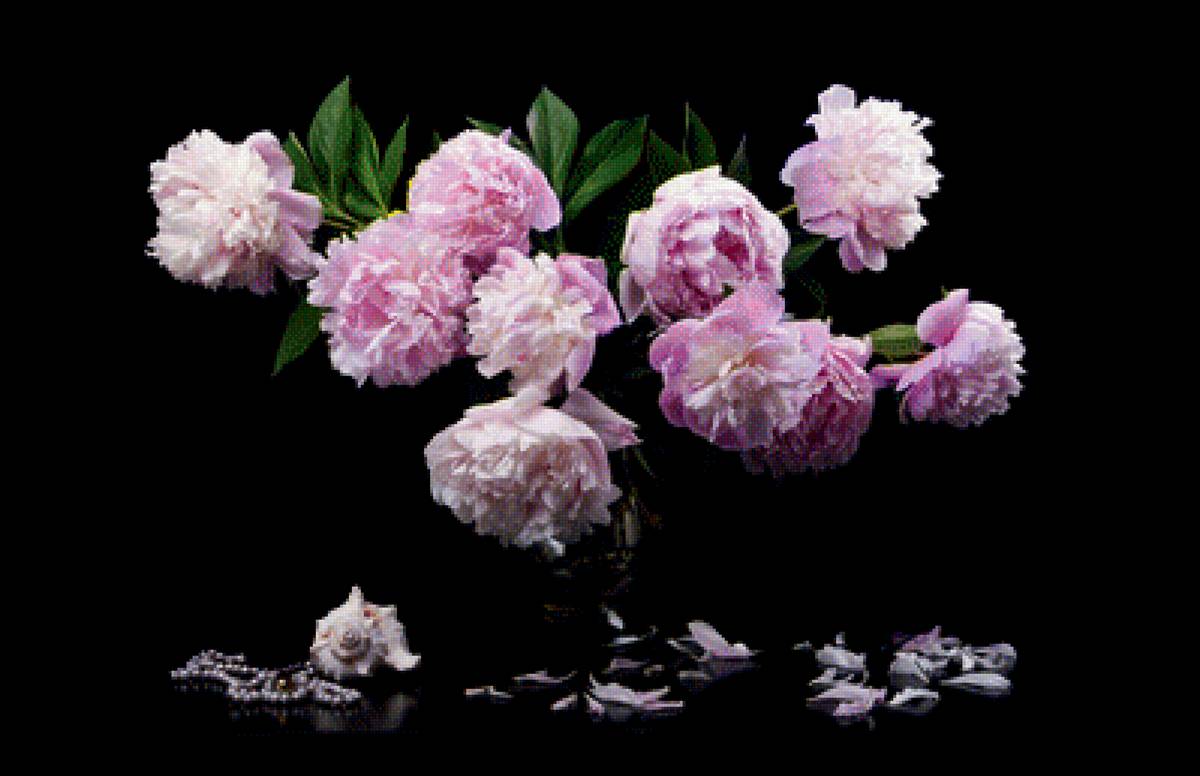 Пионы на черном - предпросмотр