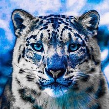 Схема вышивки «tiger»