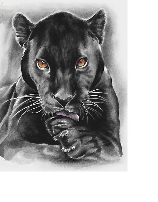 №1743393 - оригинал