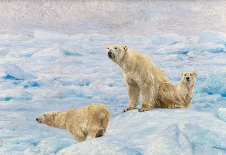 Белые медведи - природа, зима, животные - оригинал