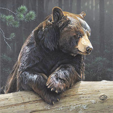 Схема вышивки «медведь»