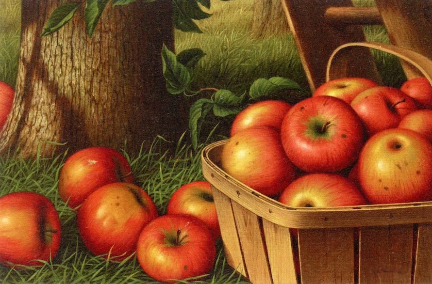 Яблочки - корзина, фрукты - оригинал