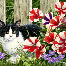 mačka,kvety