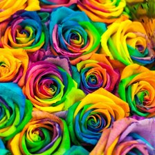 Схема вышивки «разноцветные розы»