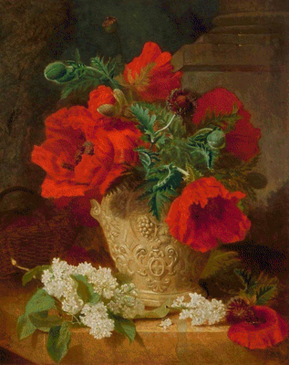 МАКИ - маки - предпросмотр