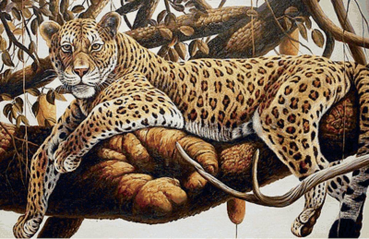 Леопард - звери, животные, на дереве - предпросмотр